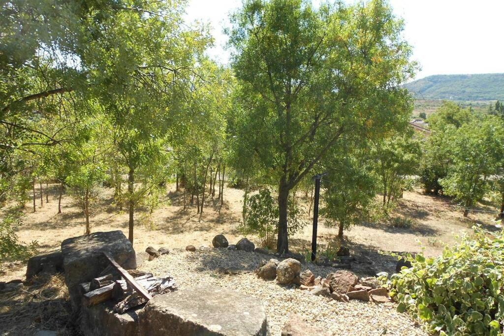 La Bergerie, With Private Pool And Garden Villa Lodève Dış mekan fotoğraf